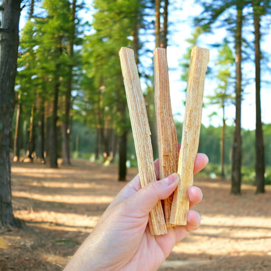 Exploring Mysteries of Fatwood: Unveiling the Tree Species Behind this Natural Fire Starter