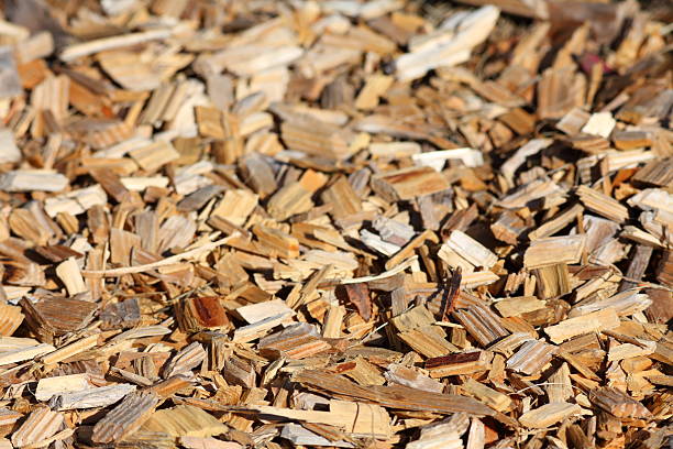 Freshen Up Naturally| Smart Uses for Incense Cedar Wood Chips