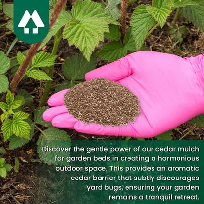 Insect Defense Cedar Granules - All-Natural, Pet and Family Safe!