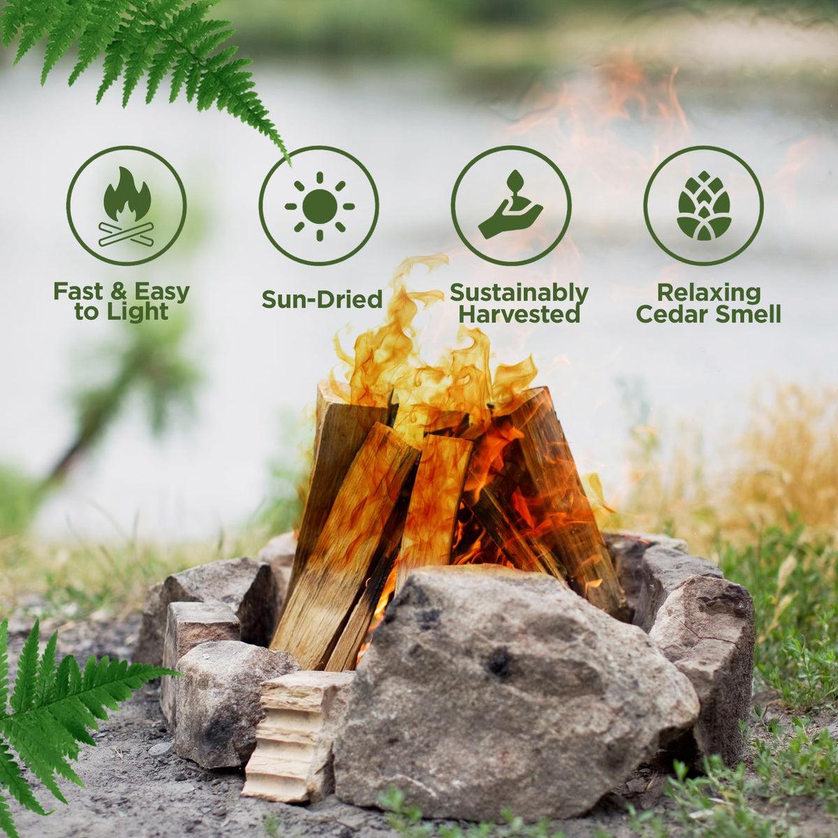 Incense Cedar Kindling & Fatwood Bundle