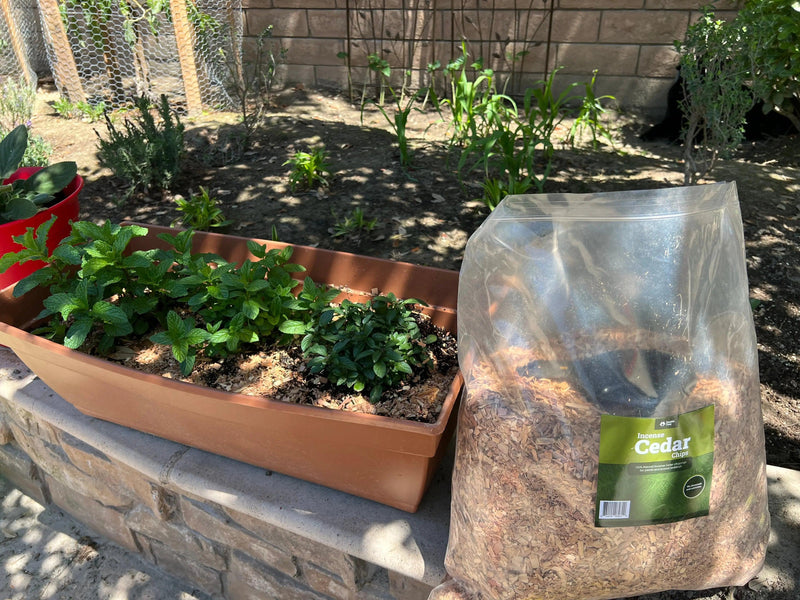 Cedar chips all season