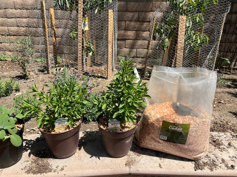 Cedar chips for gardeners