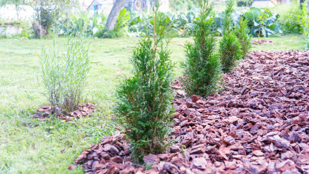 Cedar granules protecting garden beds