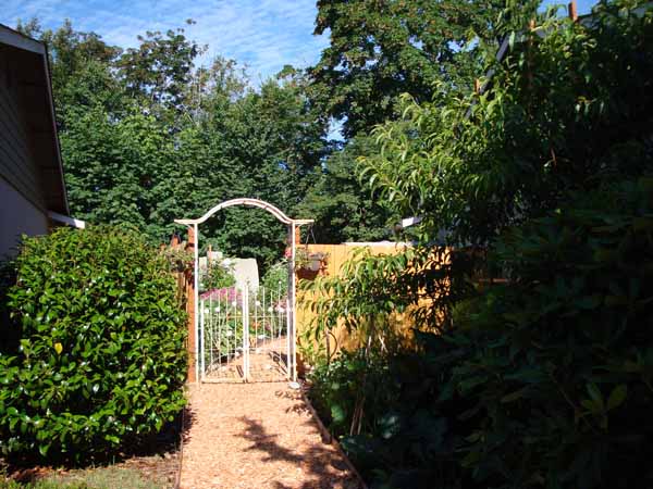 Beautiful garden with cedar chip mulch