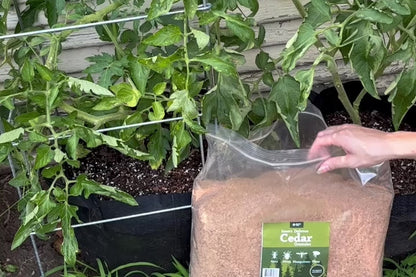 Insect Defense Cedar Granules - All-Natural, Pet and Family Safe!