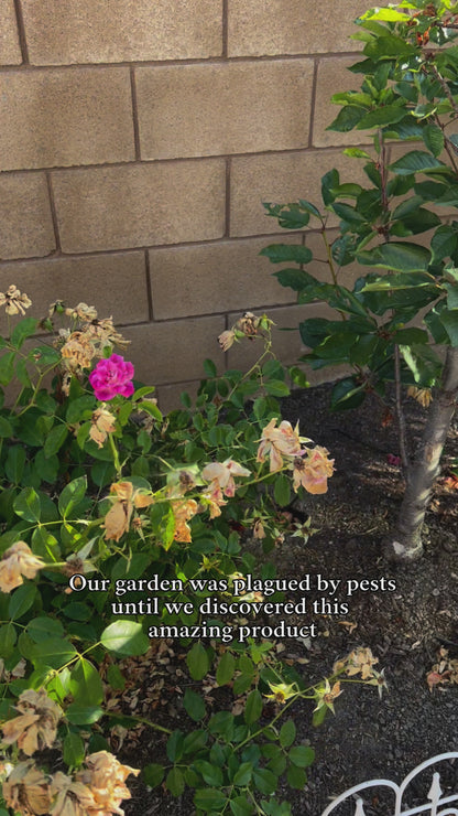 Insect Defense Cedar Granules - All-Natural, Pet and Family Safe!