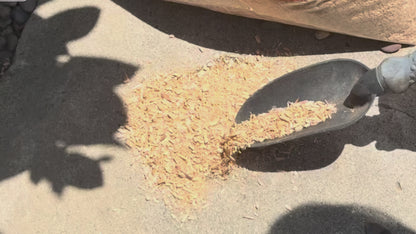 CedarLock Oil Absorbent–Nature’s Heavy-Duty Spill Solution Made from 100% pure incense cedar |Oil Spill Kit Granules-16 Quart 1 Bag 8 LBS, Organic Granules All Purpose Oil Absorbent