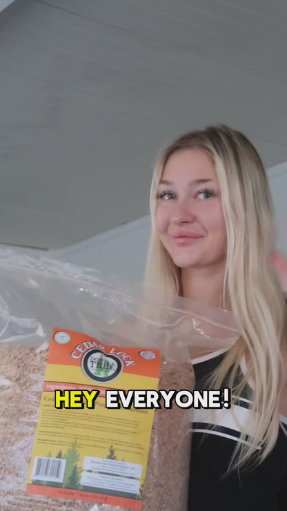 CedarLock Oil Absorbent–Nature’s Heavy-Duty Spill Solution Made from 100% pure incense cedar |Oil Spill Kit Granules-16 Quart 1 Bag 8 LBS, Organic Granules All Purpose Oil Absorbent