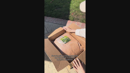 Incense Cedar Granules – Natural Insect Defense
