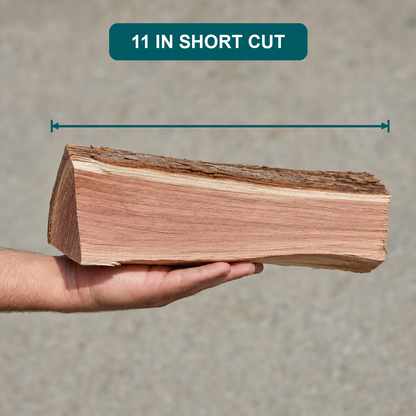 Hand holding an 11 inch split of incense cedar firewood